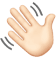Hand